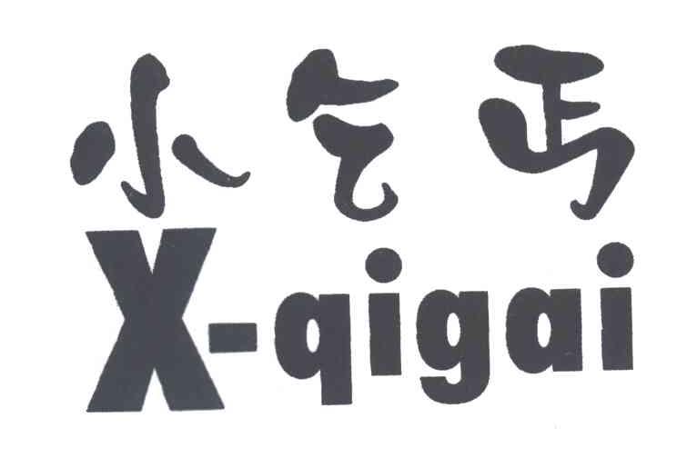 小乞丐;X QIGAI