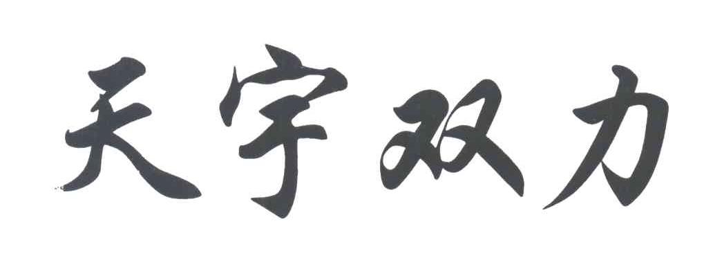 天宇双力