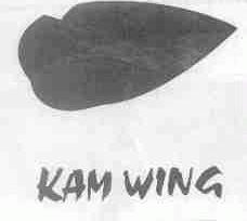 KAM WING