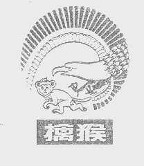 擒猴