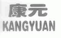康元