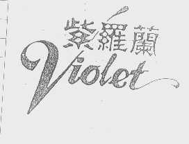 紫罗兰   VIOLET