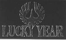 LUCKY YEAR