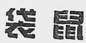 袋鼠