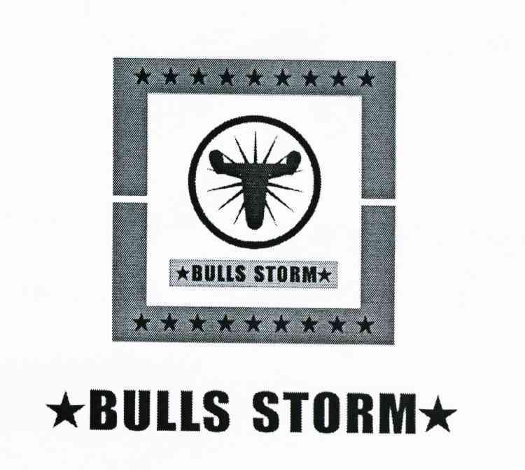 BULLS STORM