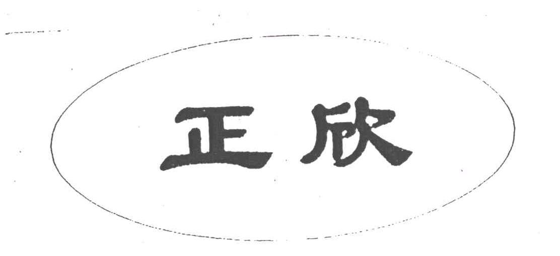 正欣