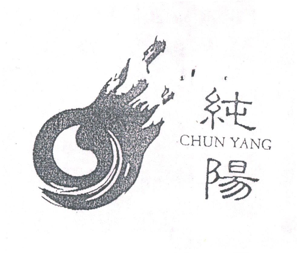 纯阳