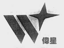伟星