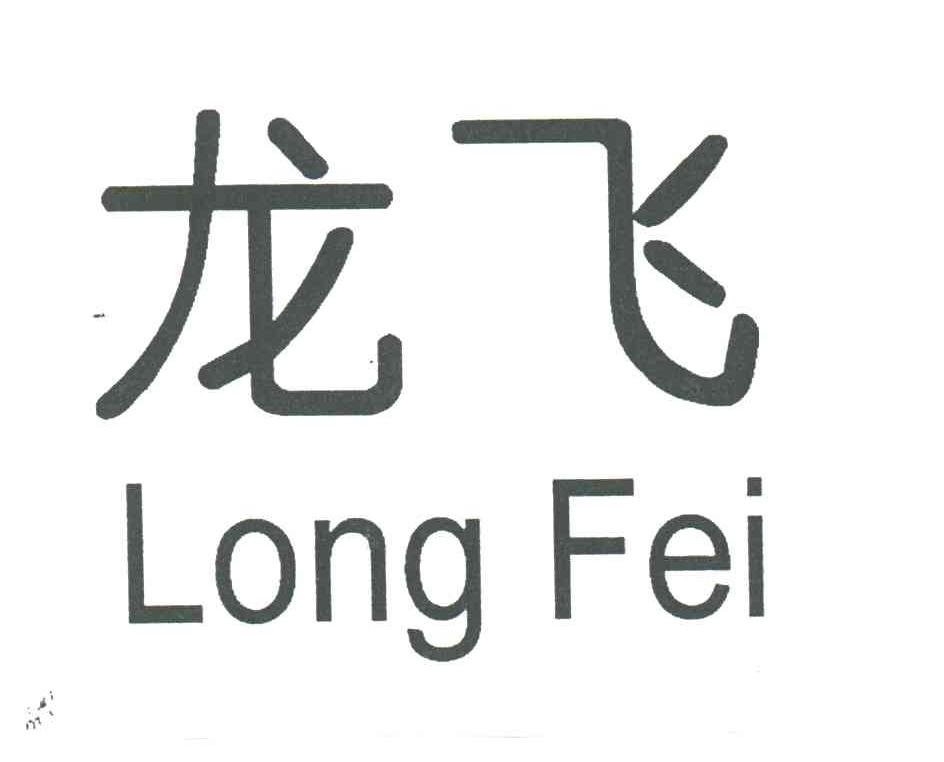 龙飞