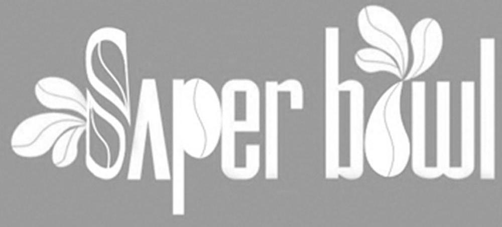 SAPER BWL