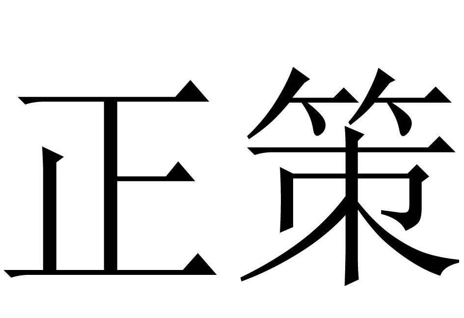 正策