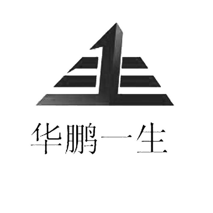 华鹏一生