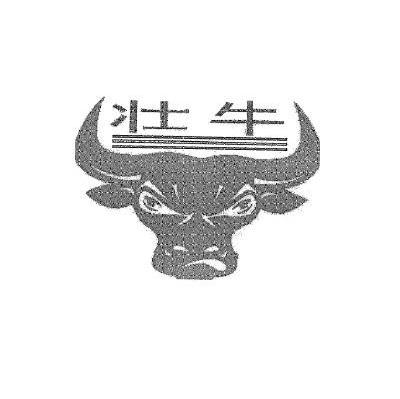 壮牛