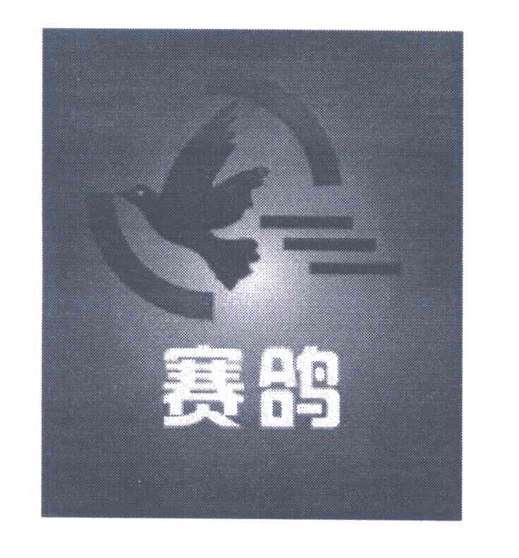 赛鸽