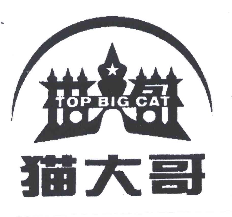 猫大哥;TOP BIG CAT