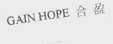 合盈   GAIN HOPE