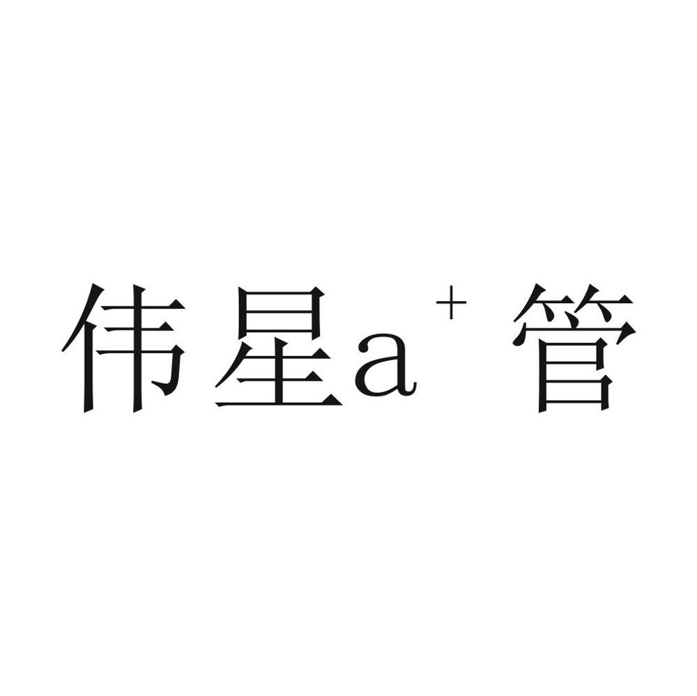 伟星A管