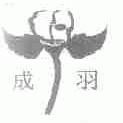 成羽