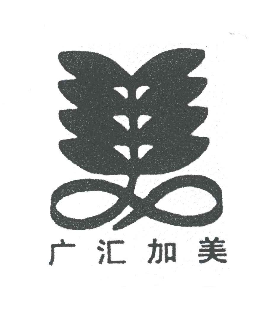 广汇加美