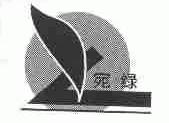 宛绿