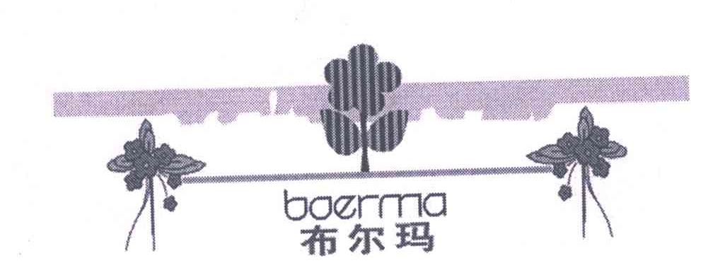 布尔玛;BOERMA