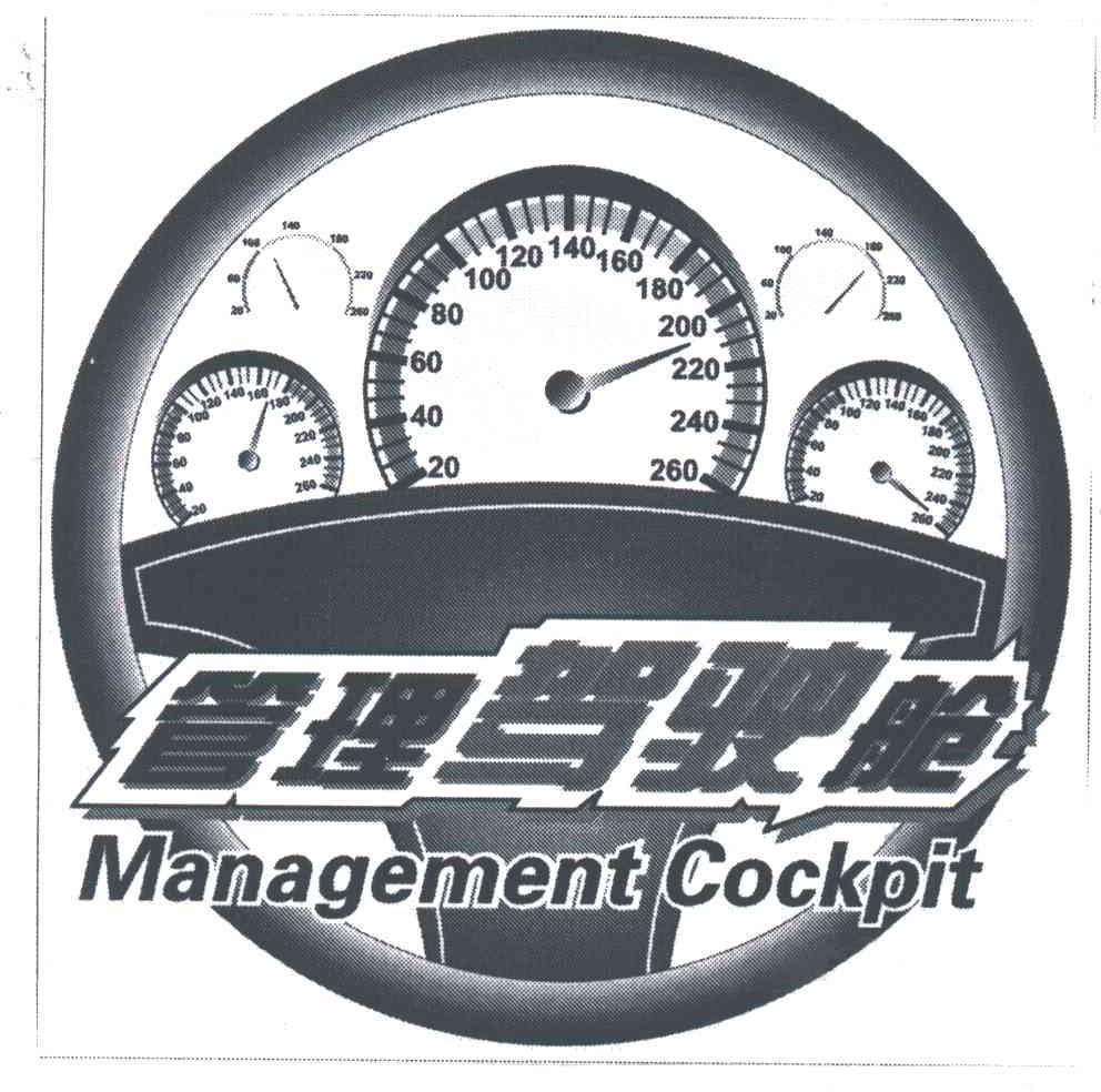 管理驾驶舱;MANAGEMENT COCKPIT