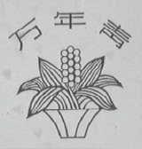 万年青