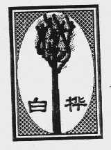 白桦