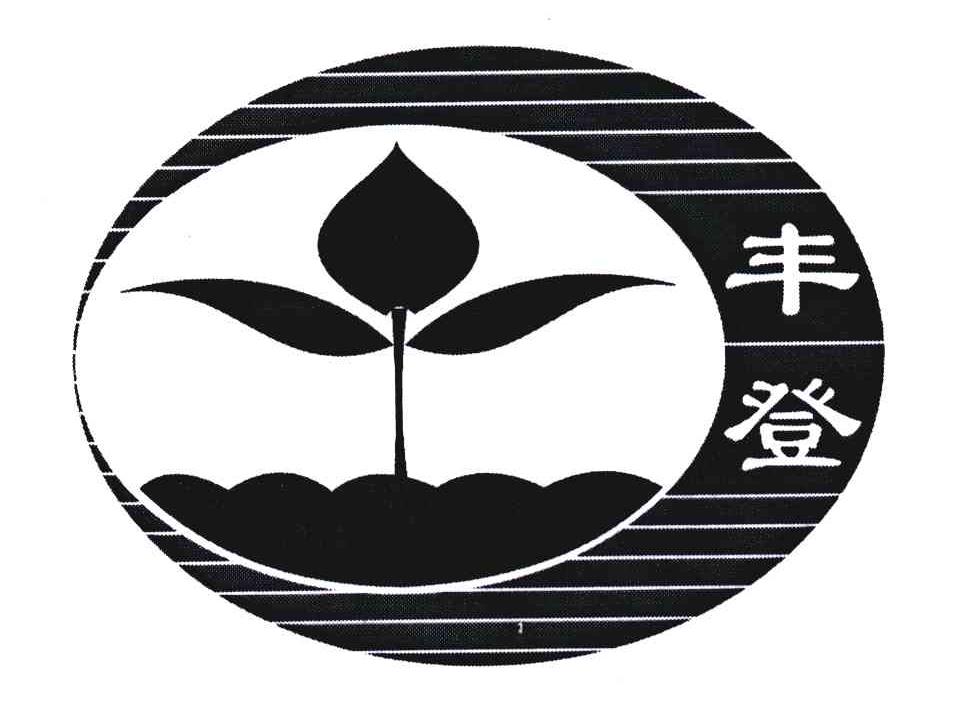 丰登