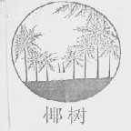 椰树