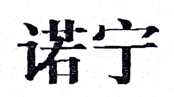 诺宁