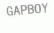 GAPBOY