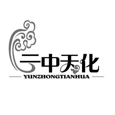 云中天化