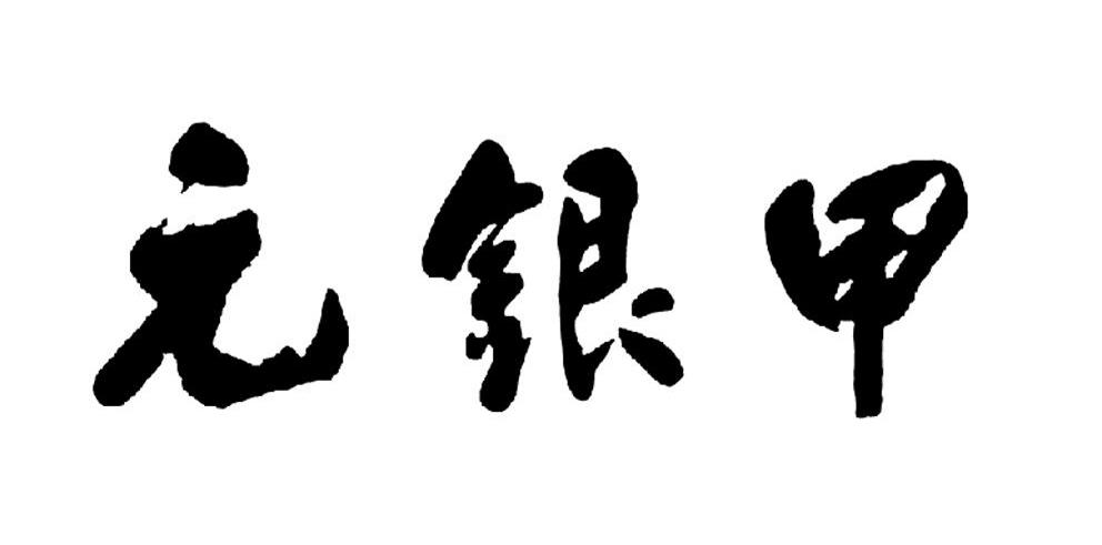 元银甲