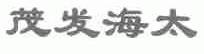 茂发海太