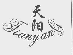 天阳