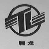 腾龙