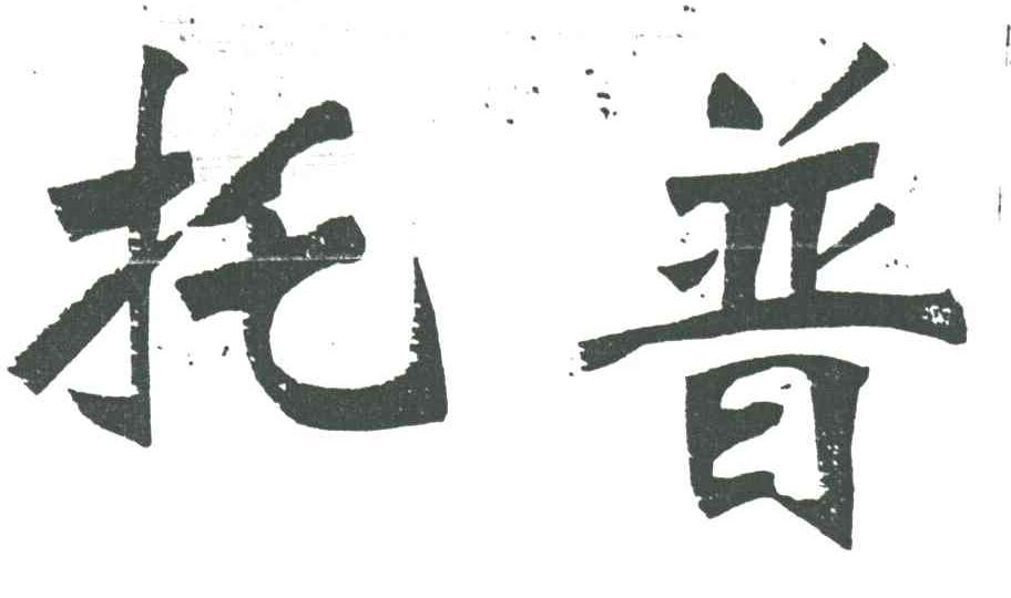 托普