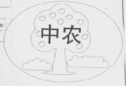 中农