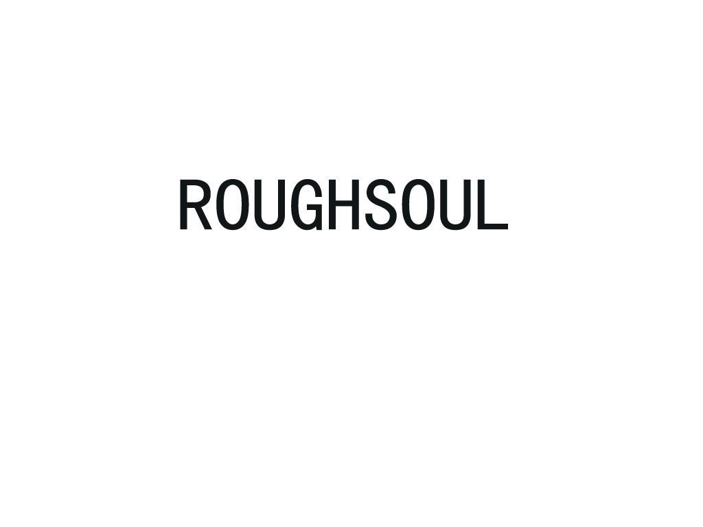 ROUGHSOUL