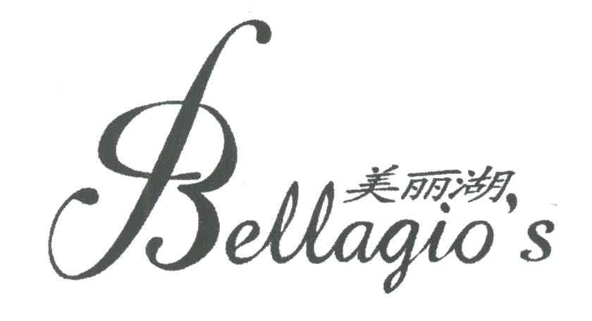 美丽湖