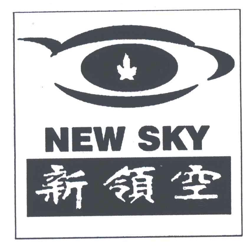 新领空;NEW SKY