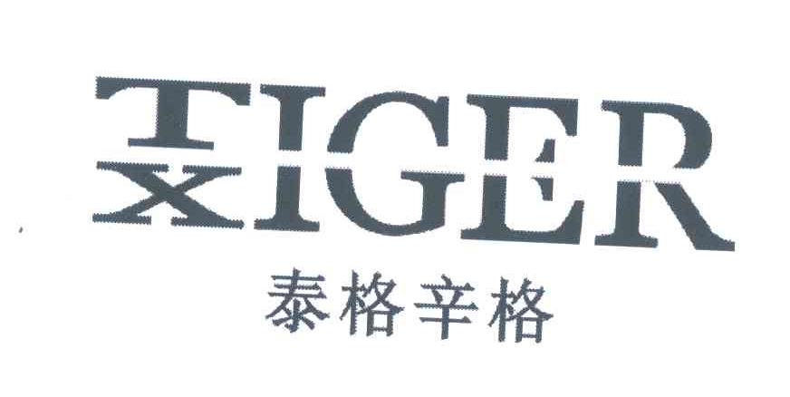 泰格辛格;IGER;TX