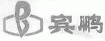 宾鹏