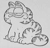 GARFIELD PICTURE
