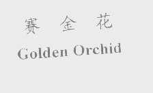 赛金花   GOLDEN ORCHID