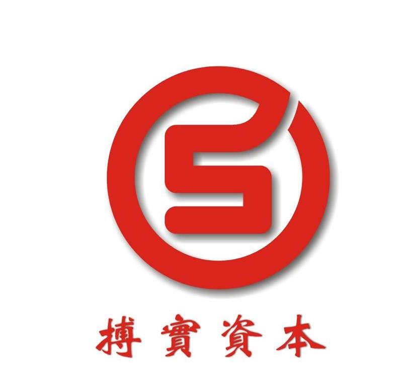 搏实资本 S