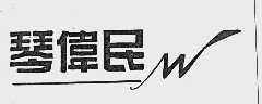琴伟民