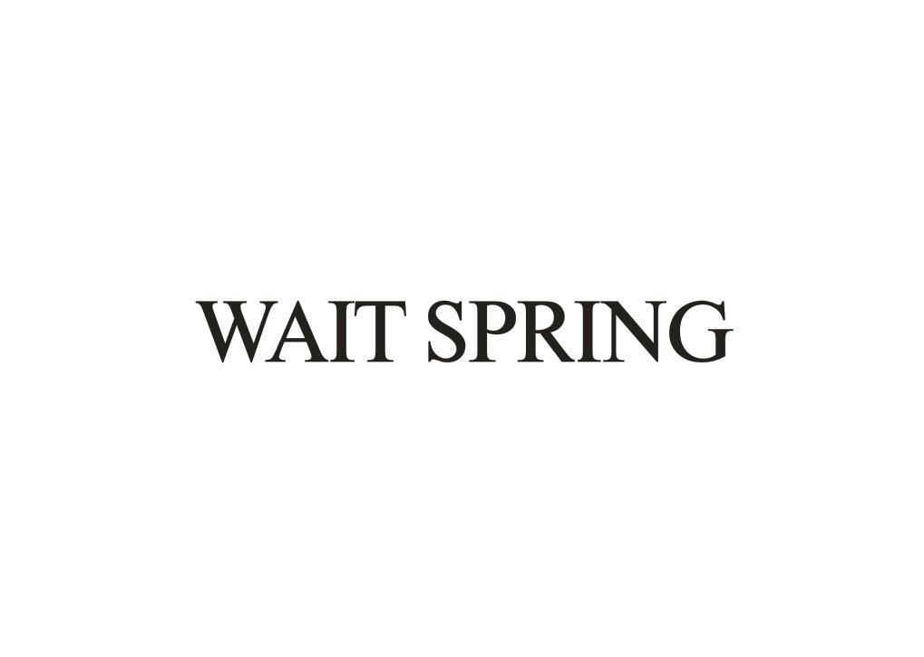 WAIT SPRING