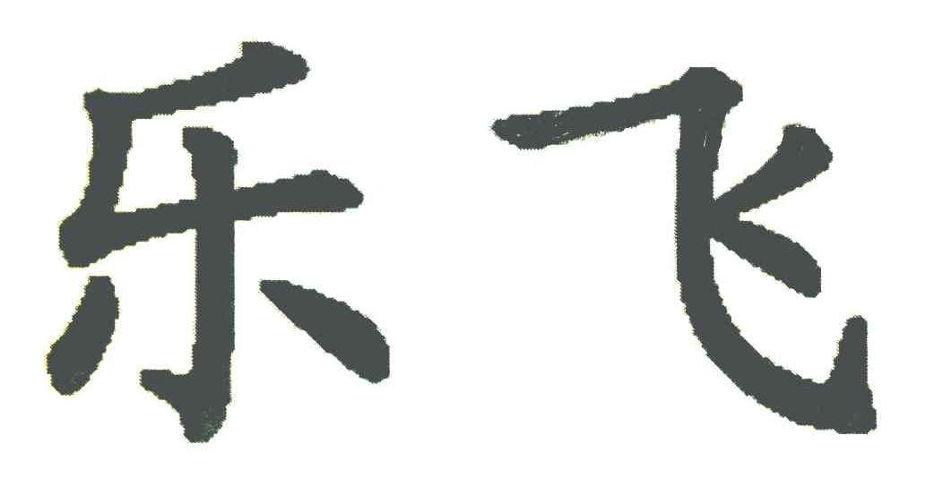 乐飞